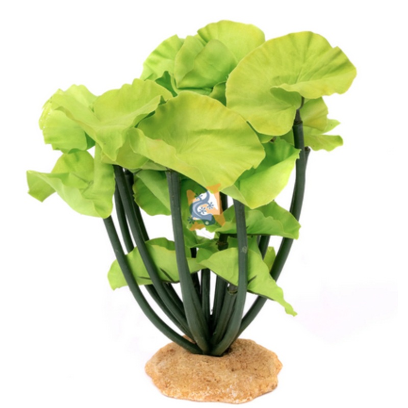 Aquaglobe Lotus Underwater Plant (Special Order Product) Small 6″