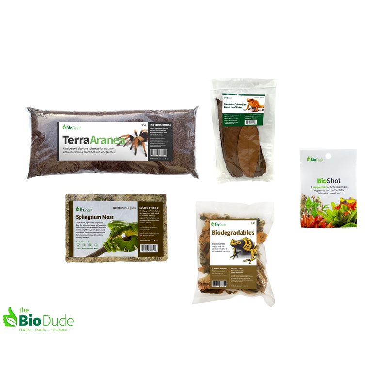 Terra Aranea Bioactive Kit 12″ x 12″