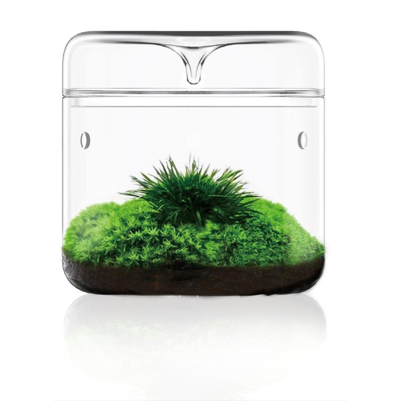 Bioloark Luji Cup MY120