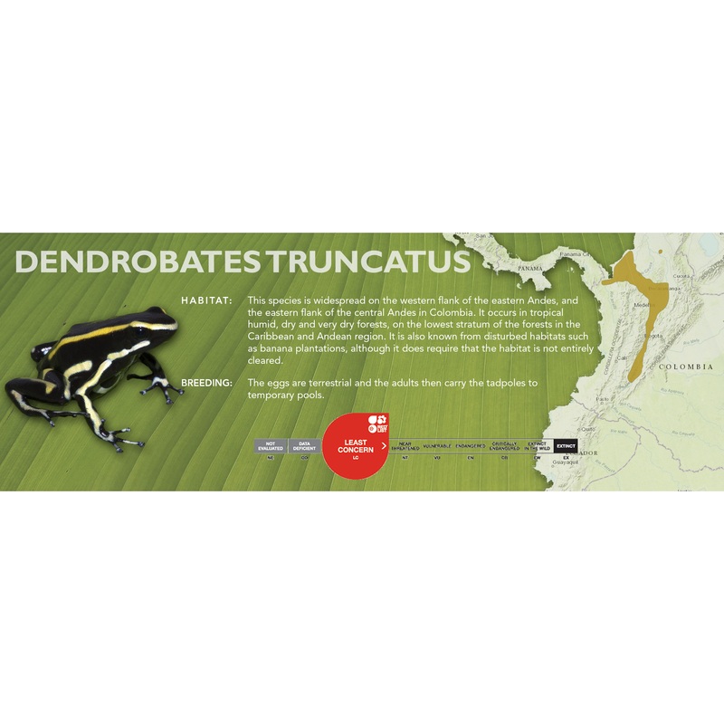 Dendrobates truncatus – Classic Vivarium Label