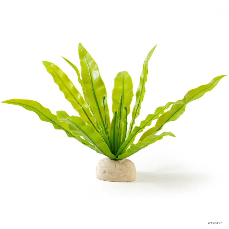Exo Terra Bird’s Nest Fern (Discontinued)