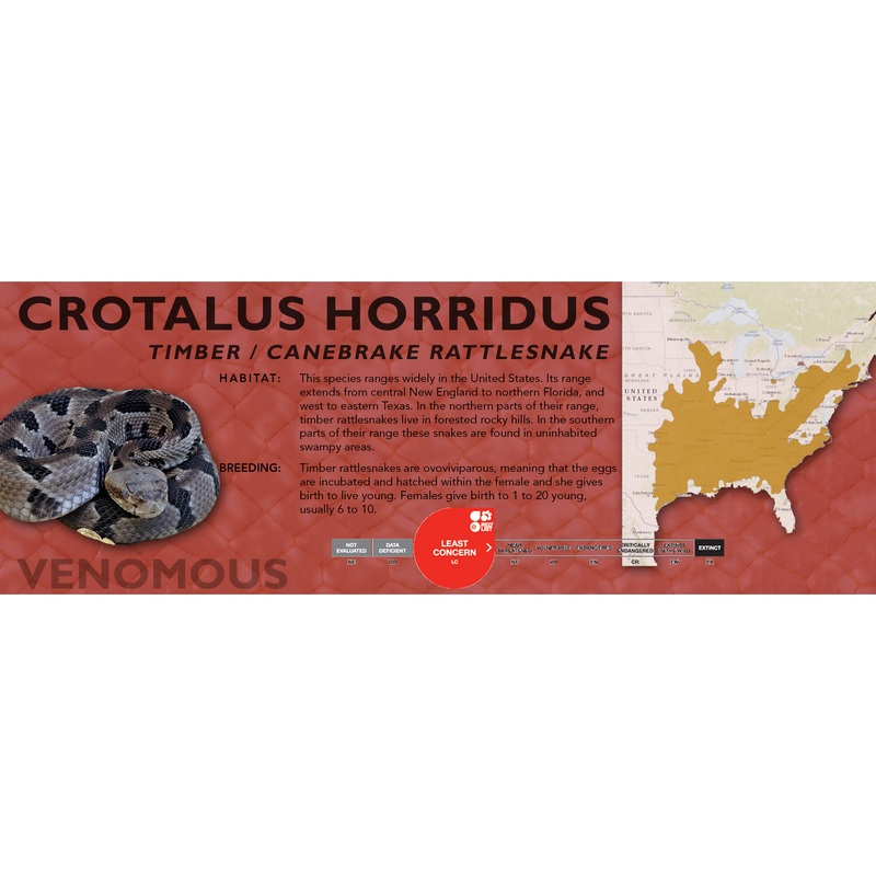 Timber / Canebrake Rattlesnake (Crotalus horridus) Classic Vivarium Label Original