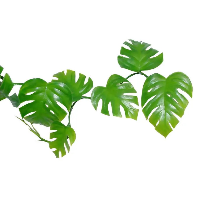 Lucky Reptile Pothos Vine approx. 200 cm