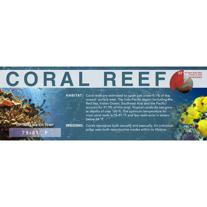 Coral Reef – Classic Aquarium Label Standard Size (7″ x 2.5″)