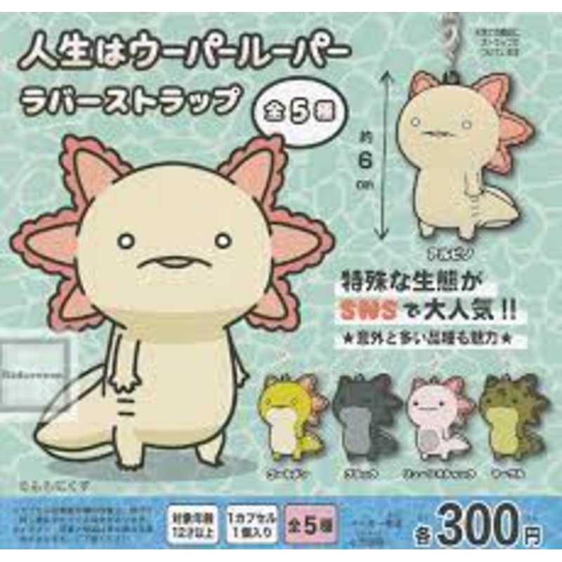 (Gashapon) Life is Axolotl Acrylic Chain