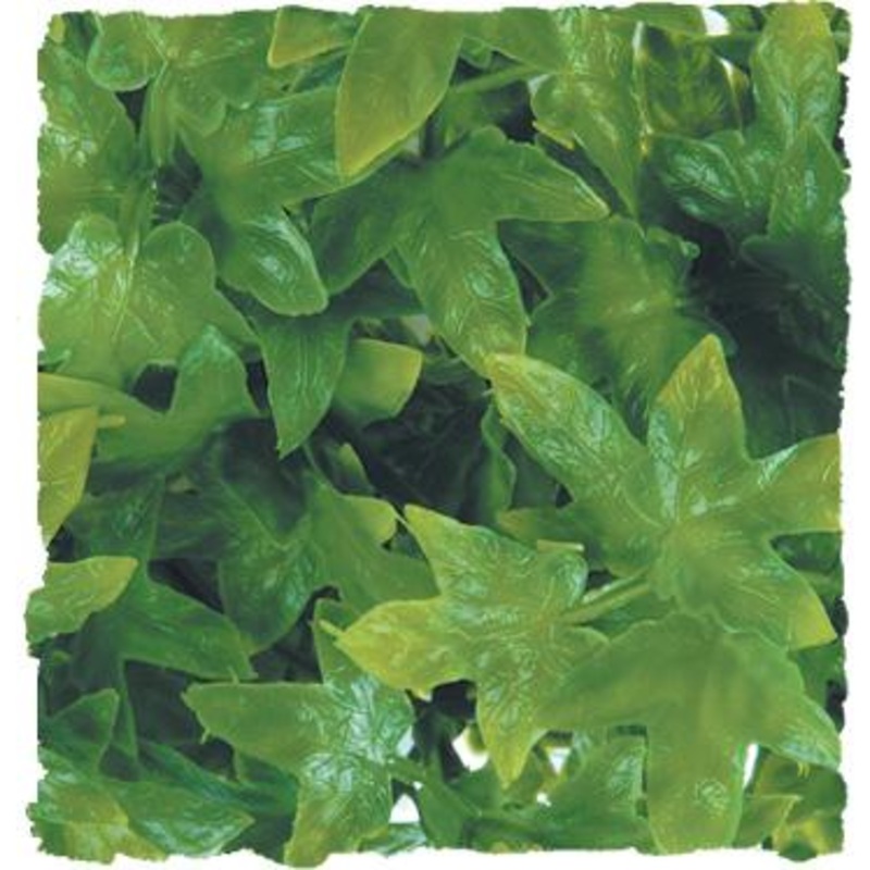 Zoo Med Naturalistic Flora – Congo Ivy Small (10″ long)