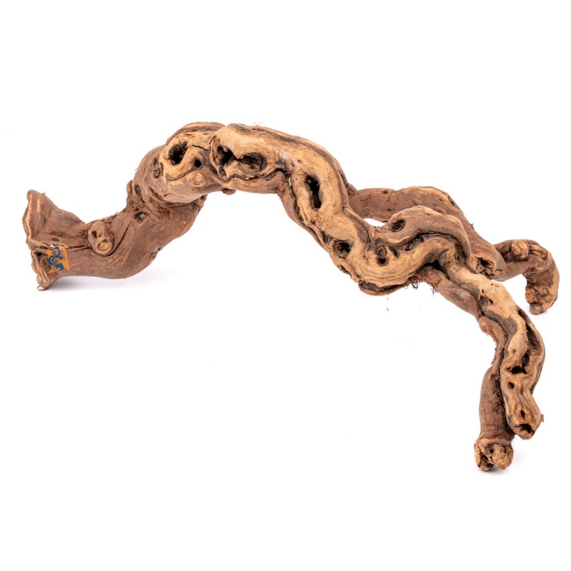 Aquaglobe Grapevine Wood