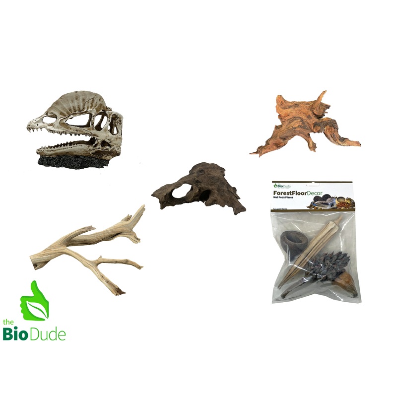 Dilophosaurus Decor Kit Small