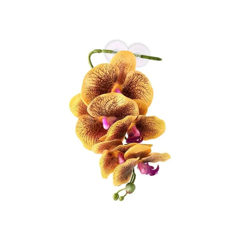 Pangea Hanging Orchid Yellow