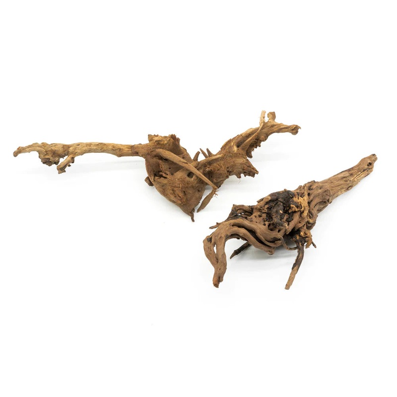 Amazon Driftwood Small 6″ -8″