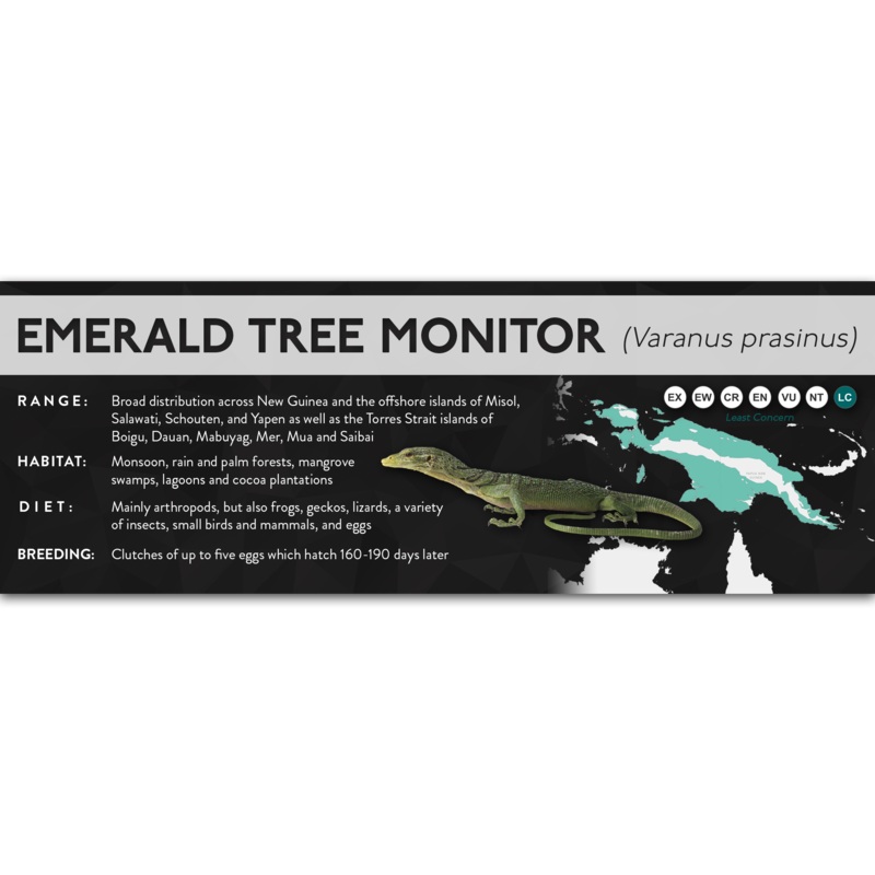 Emerald Tree Monitor (Varanus prasinus) – X Label Laminated Paper