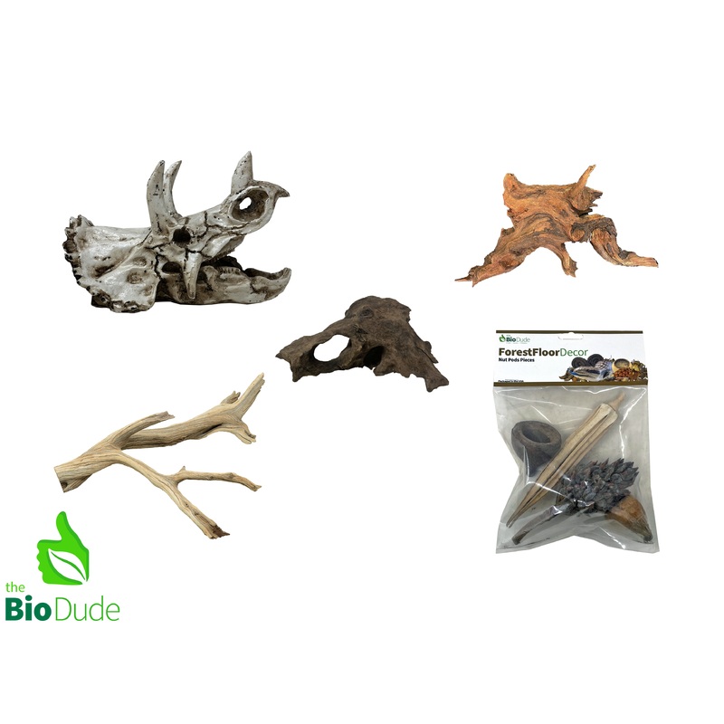 Triceratops Decor Kit Small