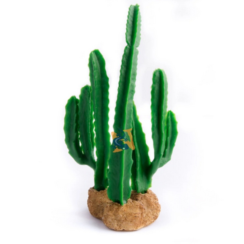 Aquaglobe Sunrise Cactus 5″ (Special Order Product)