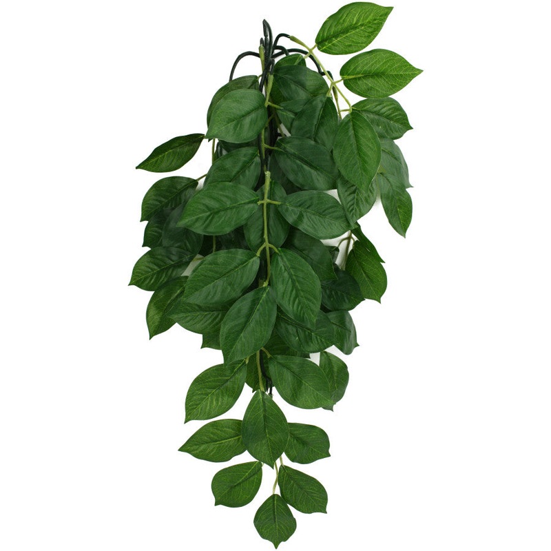 Komodo Green Leaf Hanging Plant Small 16in
