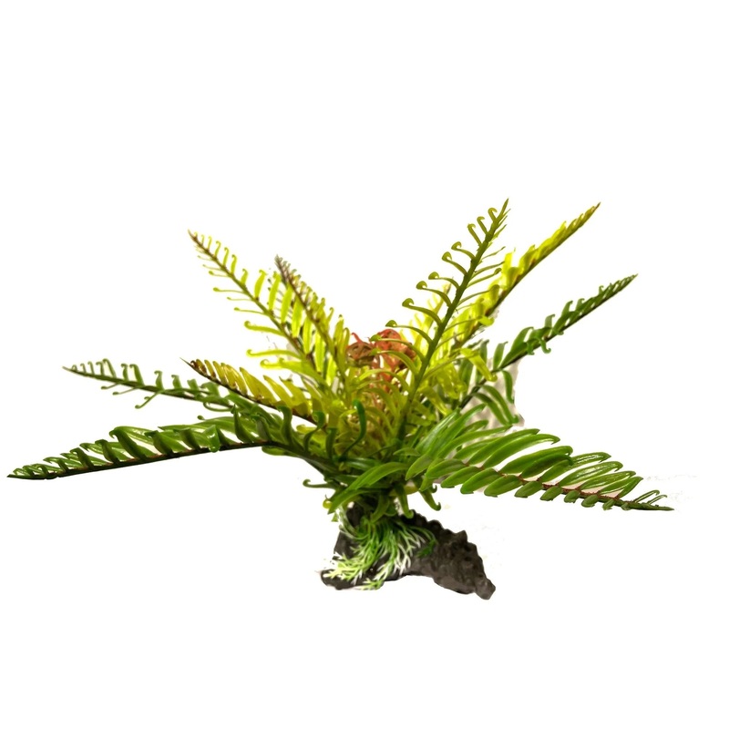 Aquarium Ornament Filmy Fern Large