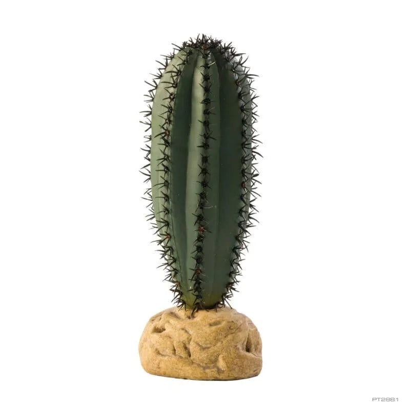 Exo Terra Saguaro Cactus