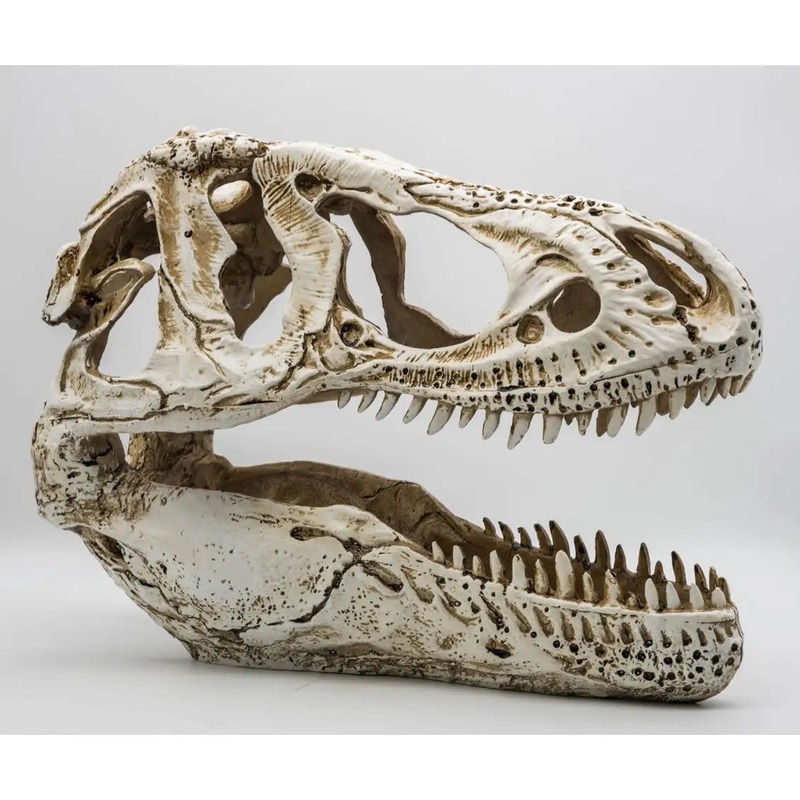 ProRep XL T-Rex Skull