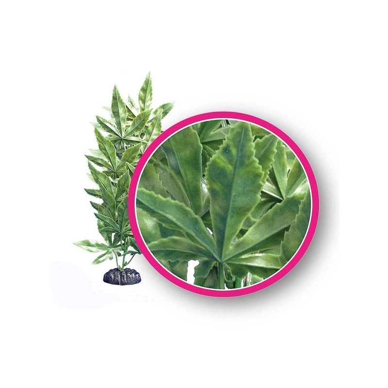 Weco Products Dream Series Hash Aquarium Plant Green, 1ea/12 in