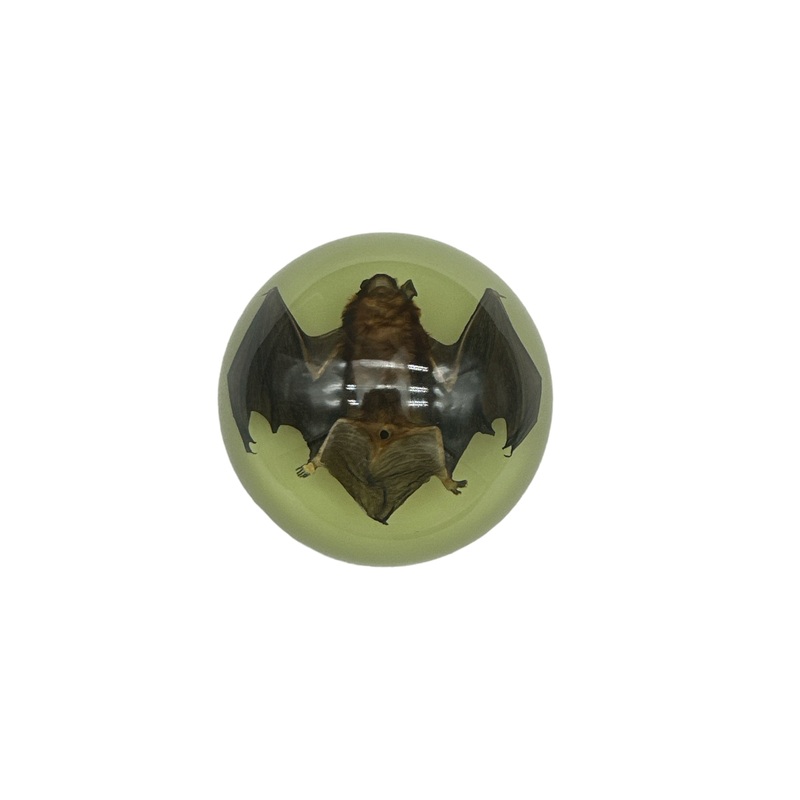 Bat Resin – Specimen In Resin W/ Glow in The Dark Base 95x 95x40mm