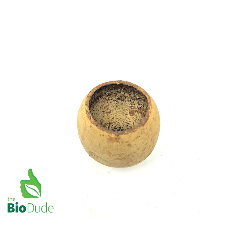 Bell Pod