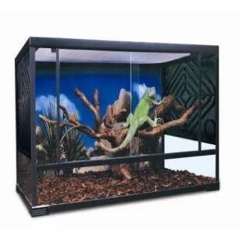 Budget Terrarium Large