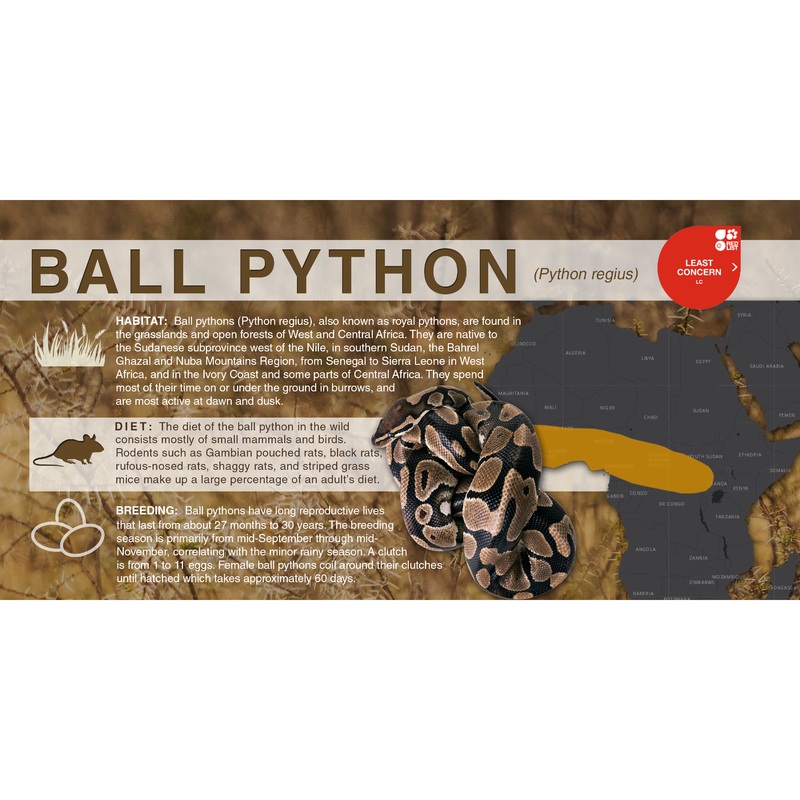 Ball Python (Python regius) – Aluminum Sign No SmartShield