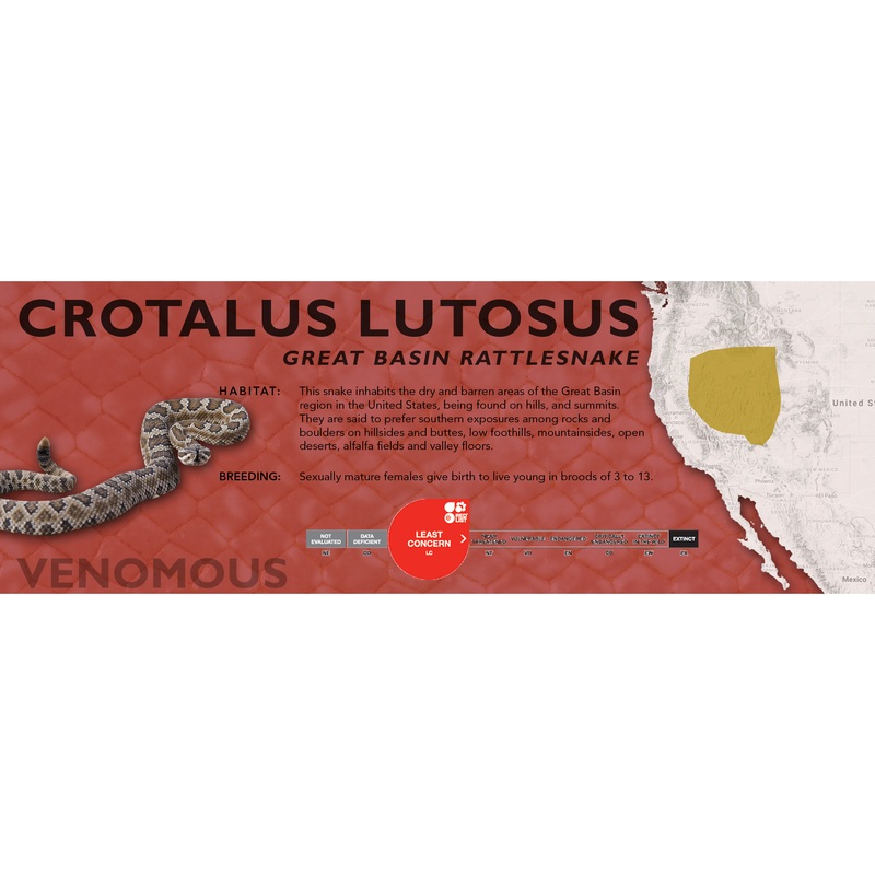 Great Basin Rattlesnake (Crotalus lutosus) Classic Vivarium Label Original