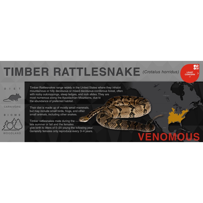 Timber Rattlesnake (Crotalus horridus) – Black Series Vivarium Label Black