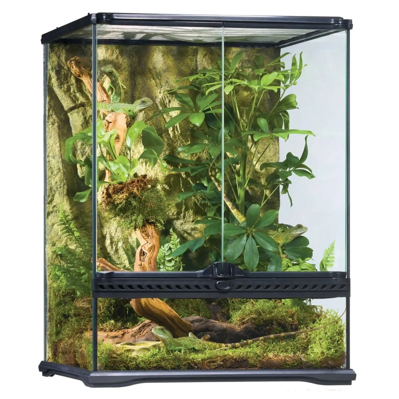 Exo Terra Glass Terrarium Small Tall – 45x45x60cm