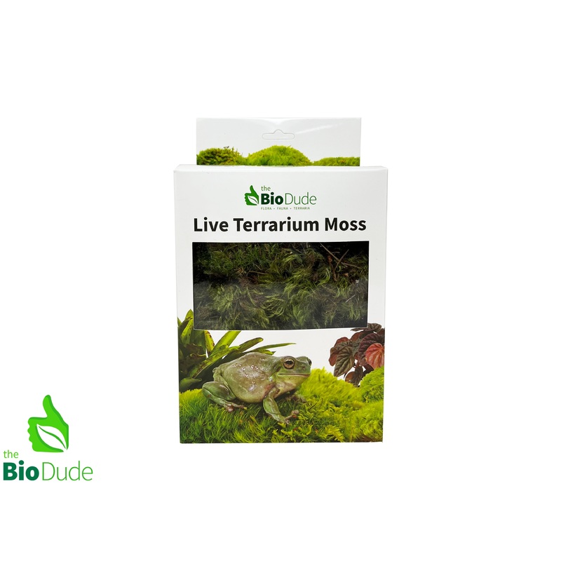 Live Pillow Moss – Natural