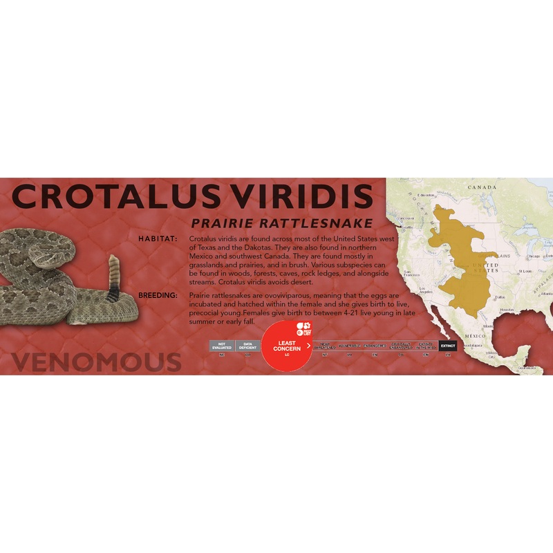 Prairie Rattlesnake (Crotalus viridis) Classic Vivarium Label Original