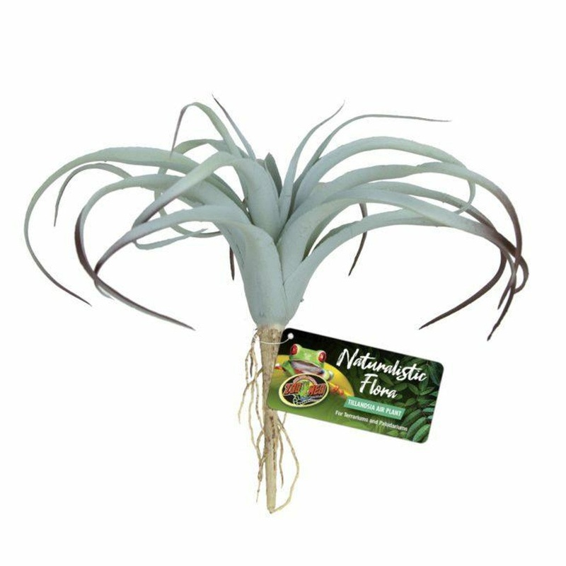Zoo Med Naturalistic Flora  Tillandsia Air Plant