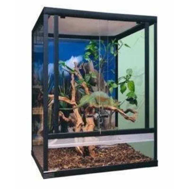 Budget Terrarium Tower