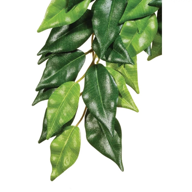 Exo Terra Silk Plant Ficus Small