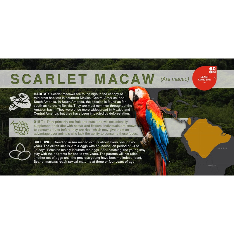 Scarlet Macaw (Ara macao) – Aluminum Sign No SmartShield