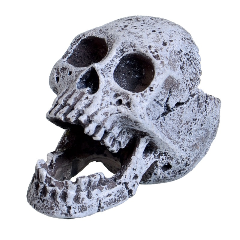 Underwater Treasures Mini Laughing Skull