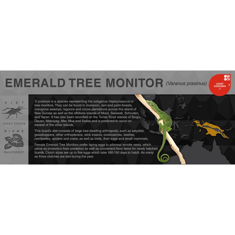 Emerald Tree Monitor (Varanus prasinus) – Black Series Vivarium Label Black