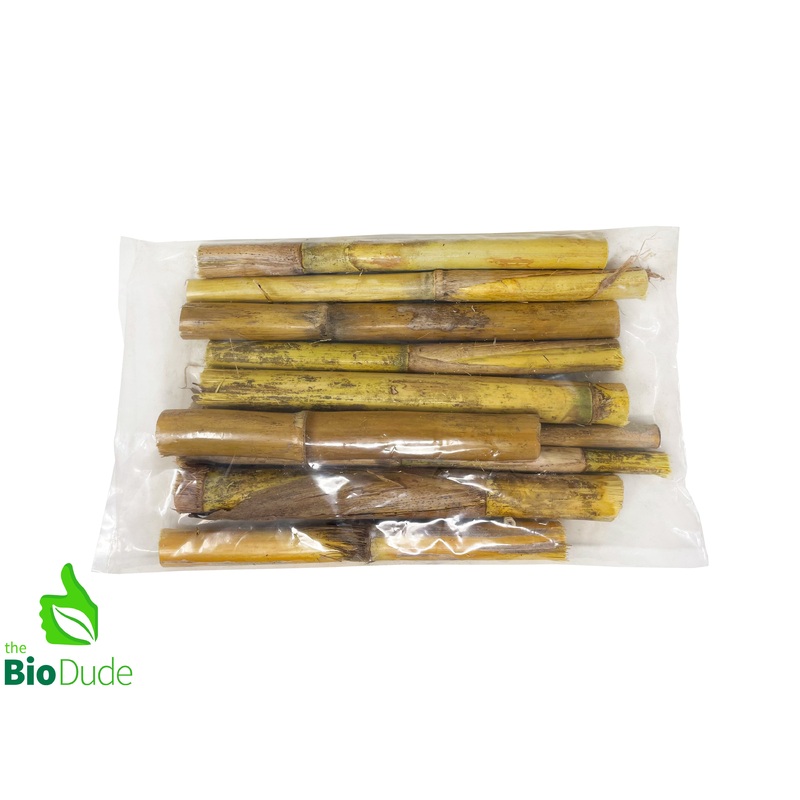 Natural Bamboo Stalks – 10 PCS – Assorted Sizes/Width