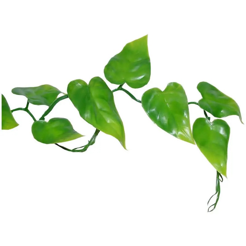 Lucky Reptile Philo Vine approx. 200 cm