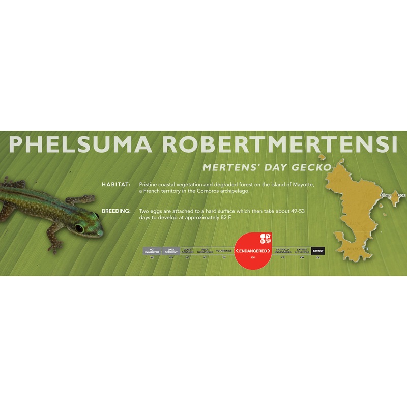 Mertens’ Day Gecko (Phelsuma robertmertensi) Classic Vivarium Label